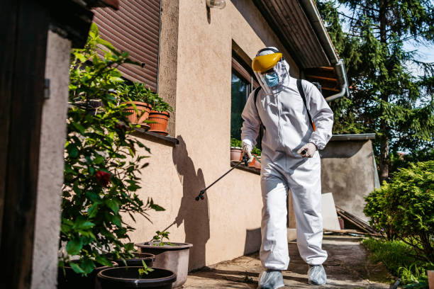 Best Insect Control  in Urania, LA