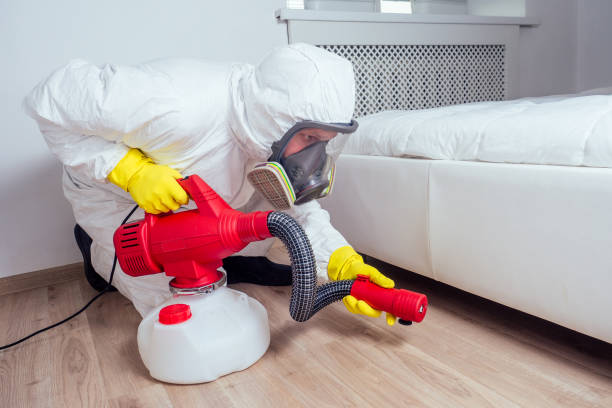 Best Flea Control Services  in Urania, LA