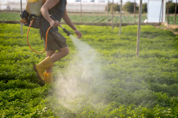 Best Best Pest Control Companies  in Urania, LA