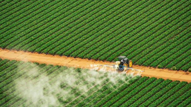 Best Local Pest Control Services  in Urania, LA