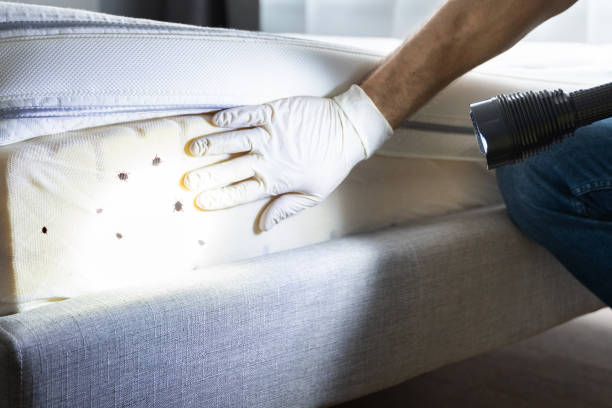 Best Pest Control Near Me  in Urania, LA