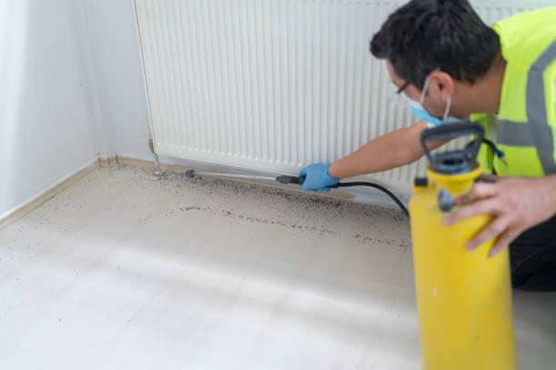 Professional Pest Control in Urania, LA